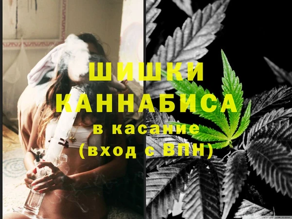 индика Вязники