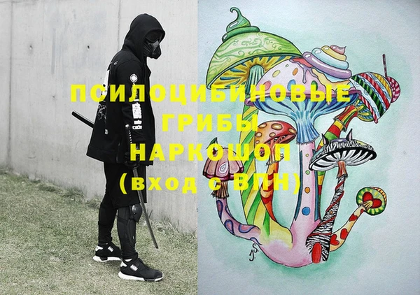 индика Вязники