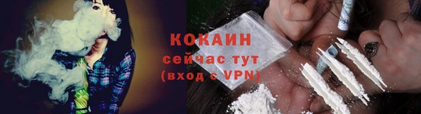 индика Вязники
