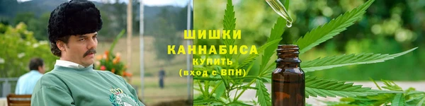 альфа пвп Горнозаводск