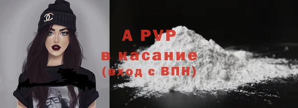 PSILOCYBIN Горно-Алтайск