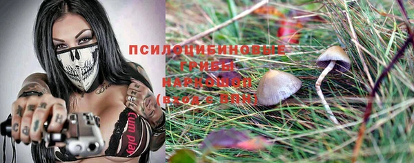 PSILOCYBIN Горно-Алтайск
