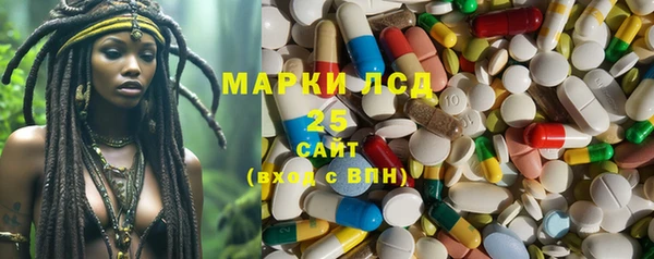 индика Вязники