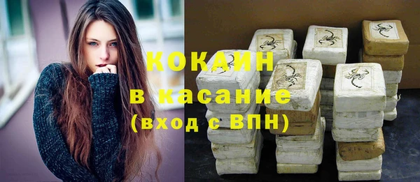 PSILOCYBIN Горно-Алтайск