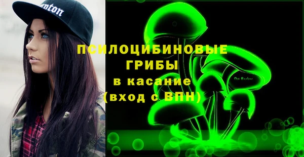 альфа пвп Горнозаводск