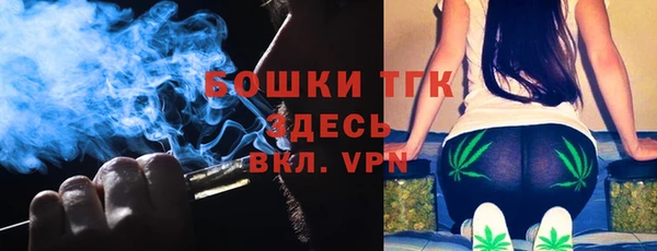 индика Вязники