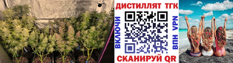 ТГК концентрат Балаково