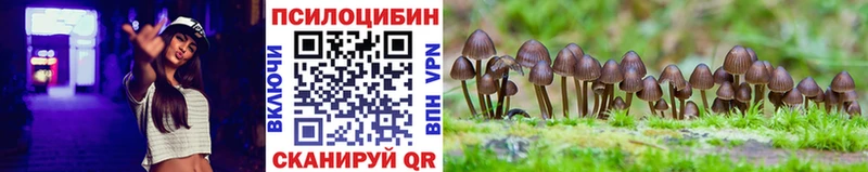 Псилоцибиновые грибы мухоморы  магазин продажи   Балаково 